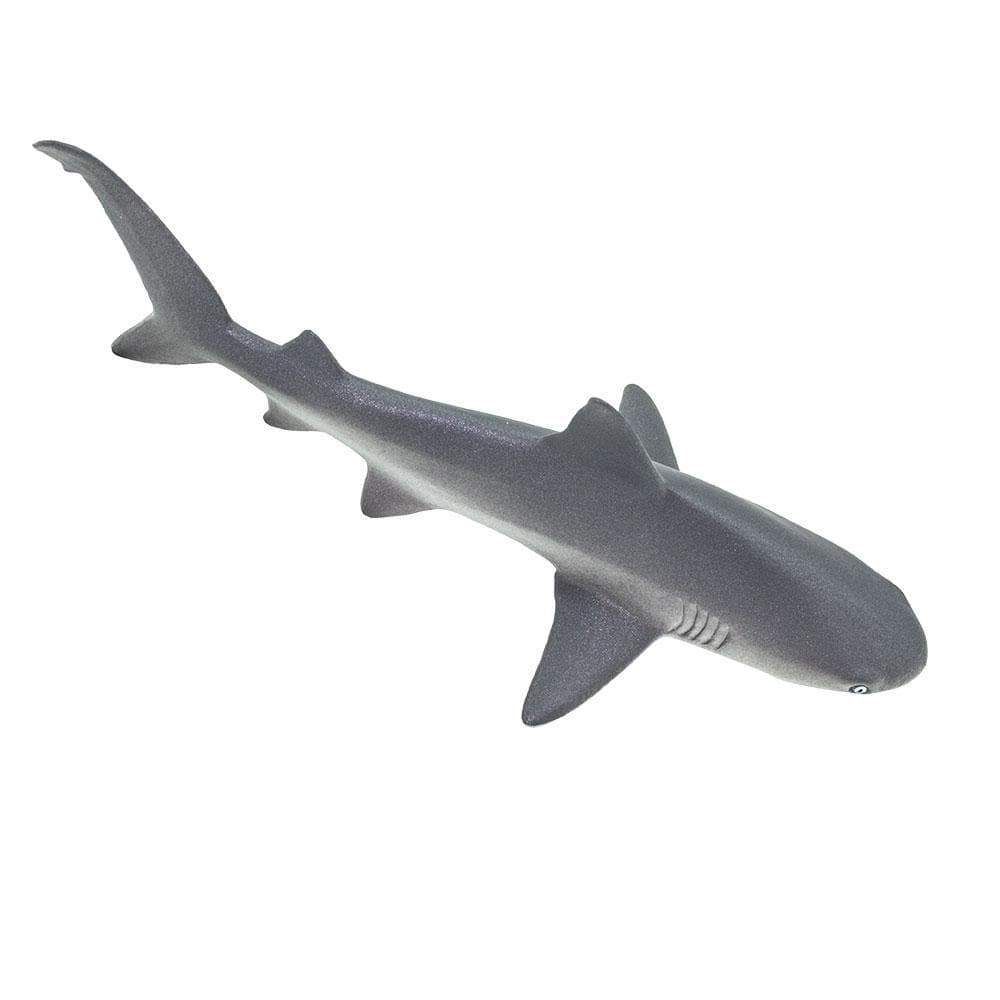 Figura Tubarão Cinzento (Gray Reef Shark) Safari Ltd.
