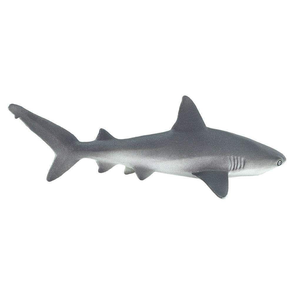Figura Tubarão Cinzento (Gray Reef Shark) Safari Ltd.
