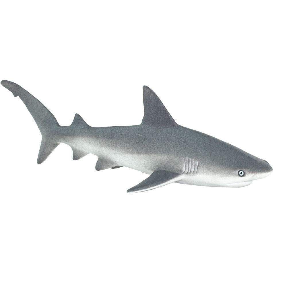 Figura Tubarão Cinzento (Gray Reef Shark) Safari Ltd.