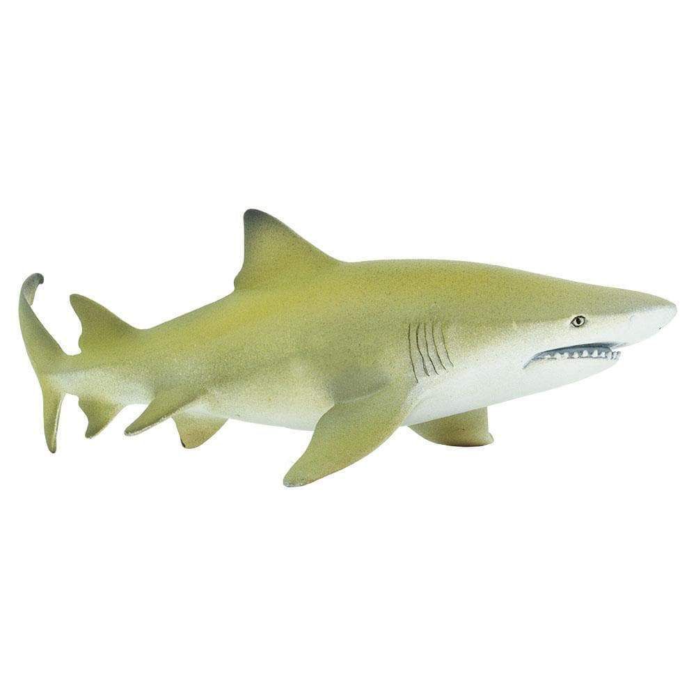 Figura Tubarão Limão (Lemon Shark) Safari Ltd.