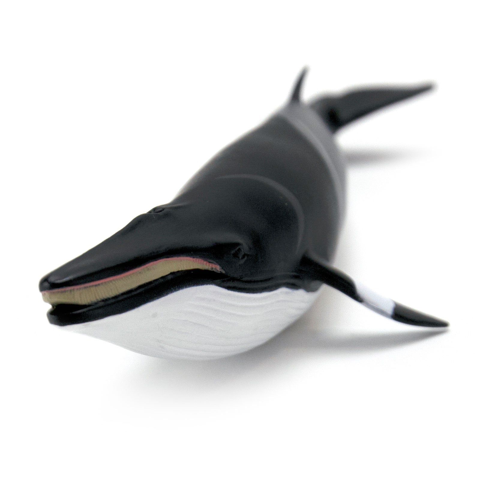 Figura Baleia Minke Safari Ltd.