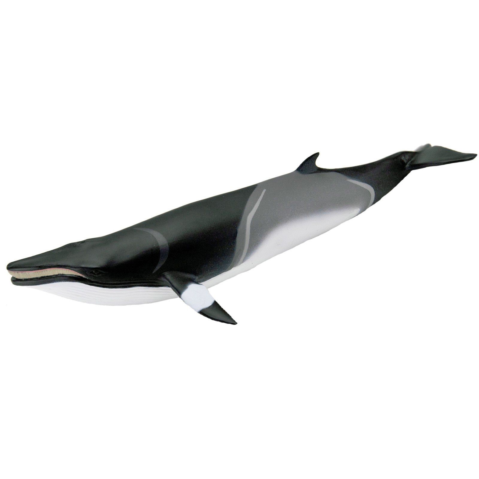 Figura Baleia Minke Safari Ltd.