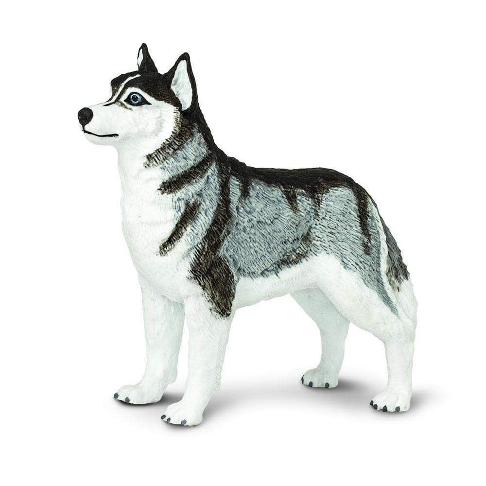 Figura Cachorro Husky Siberiano Safari Ltd.