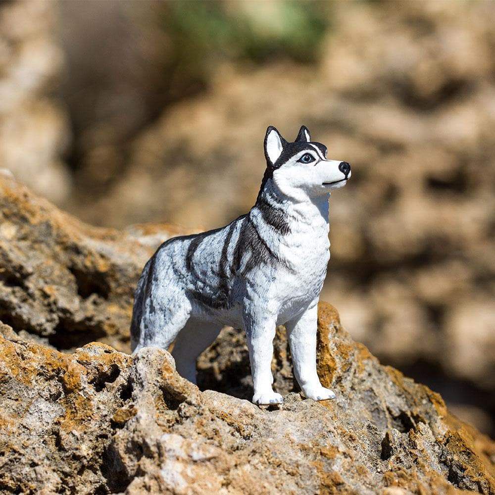 Figura Cachorro Husky Siberiano Safari Ltd.