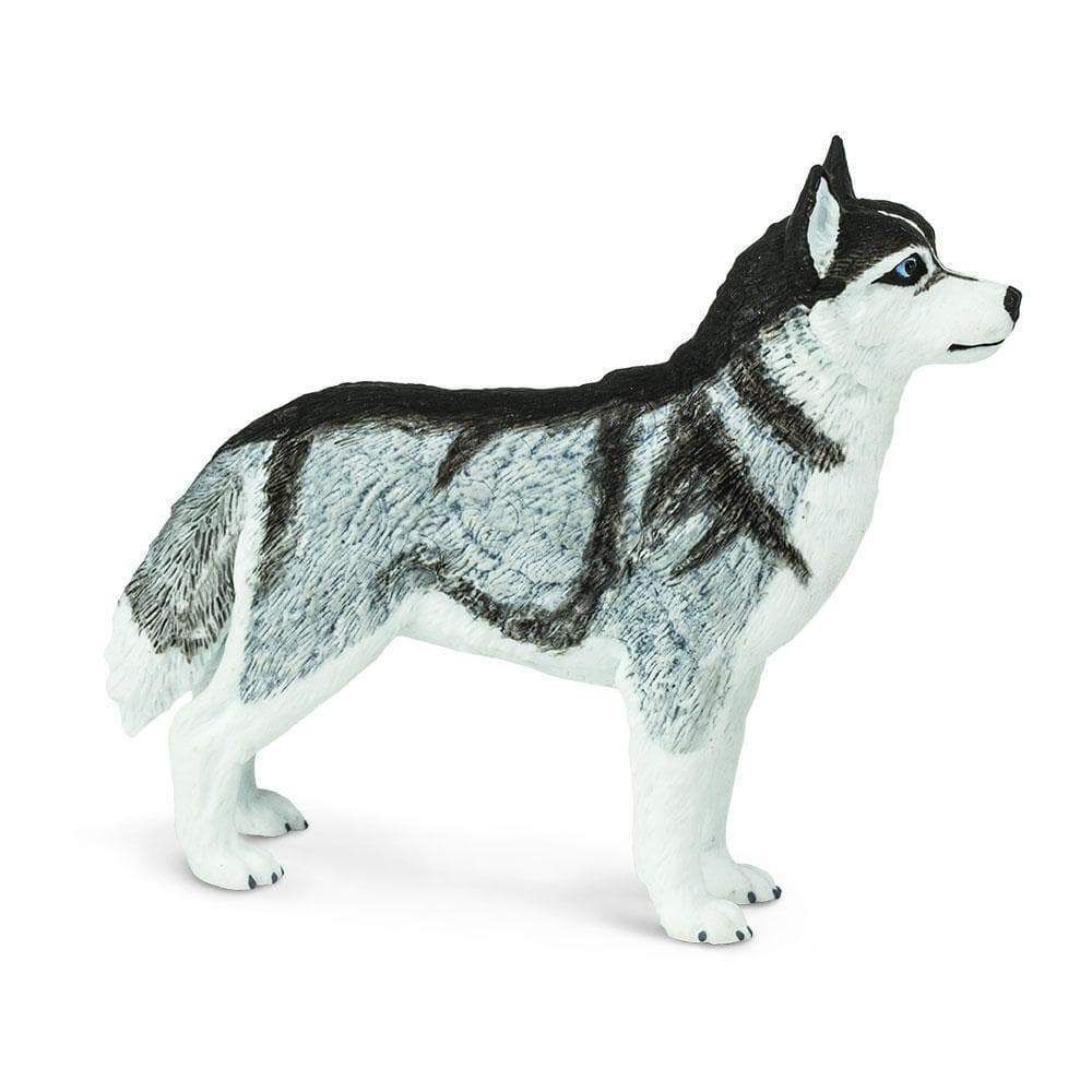 Figura Cachorro Husky Siberiano Safari Ltd.