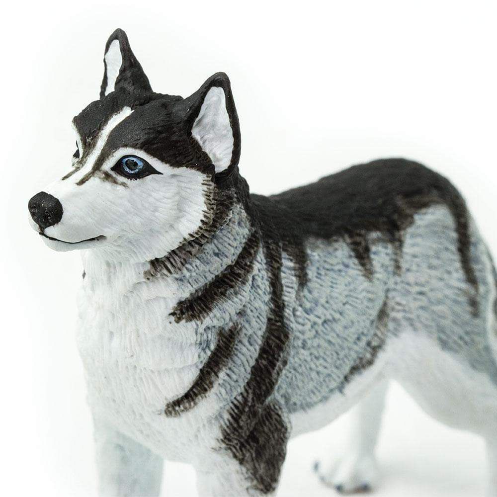 Figura Cachorro Husky Siberiano Safari Ltd.