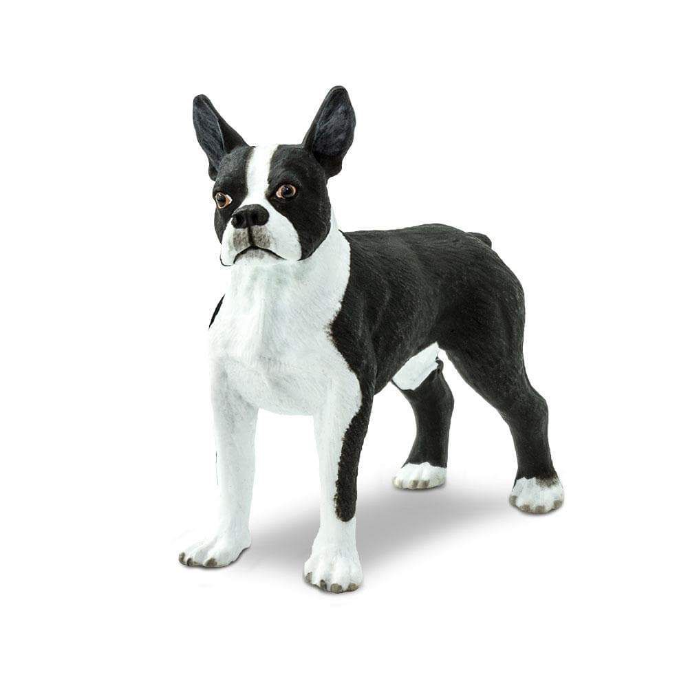 Figura Cachorro Boston Terrier Safari Ltd.