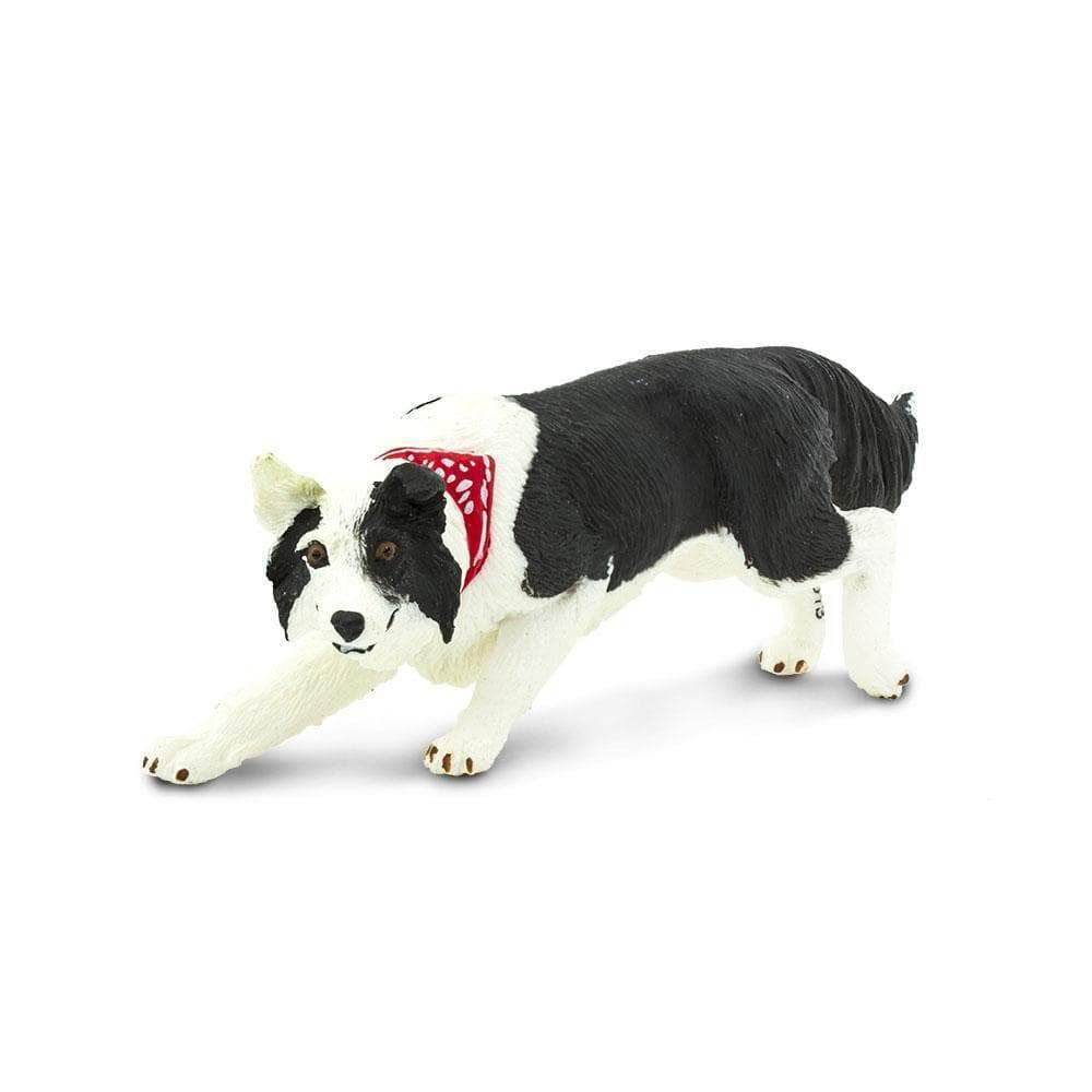 Figura Cachorro Border Collie Safari Ltd.
