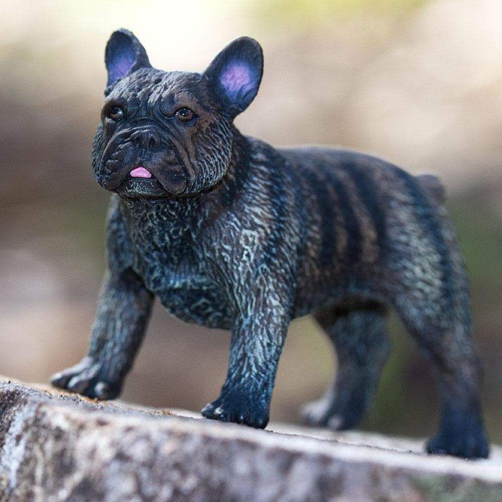 Figura Cachorro Bulldog Francês Safari Ltd.