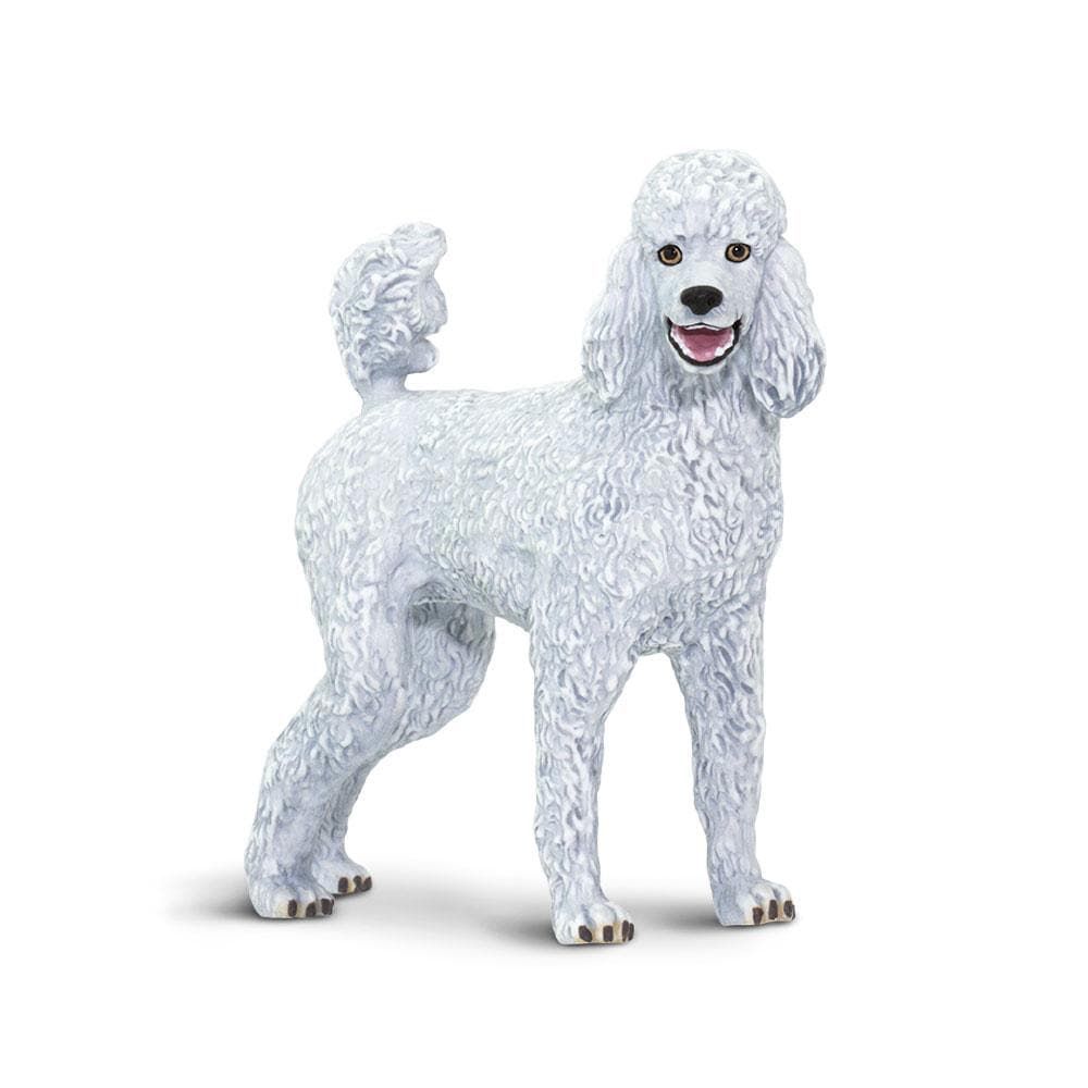 Figura Cachorro Poodle Safari Ltd.