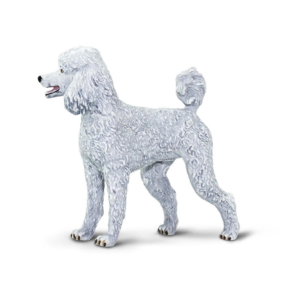 Figura Cachorro Poodle Safari Ltd.