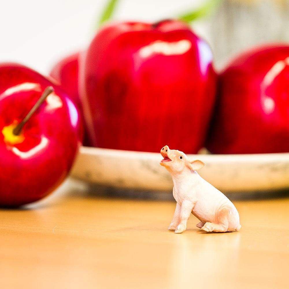 Figura Leitao Sentado Safari Ltd.