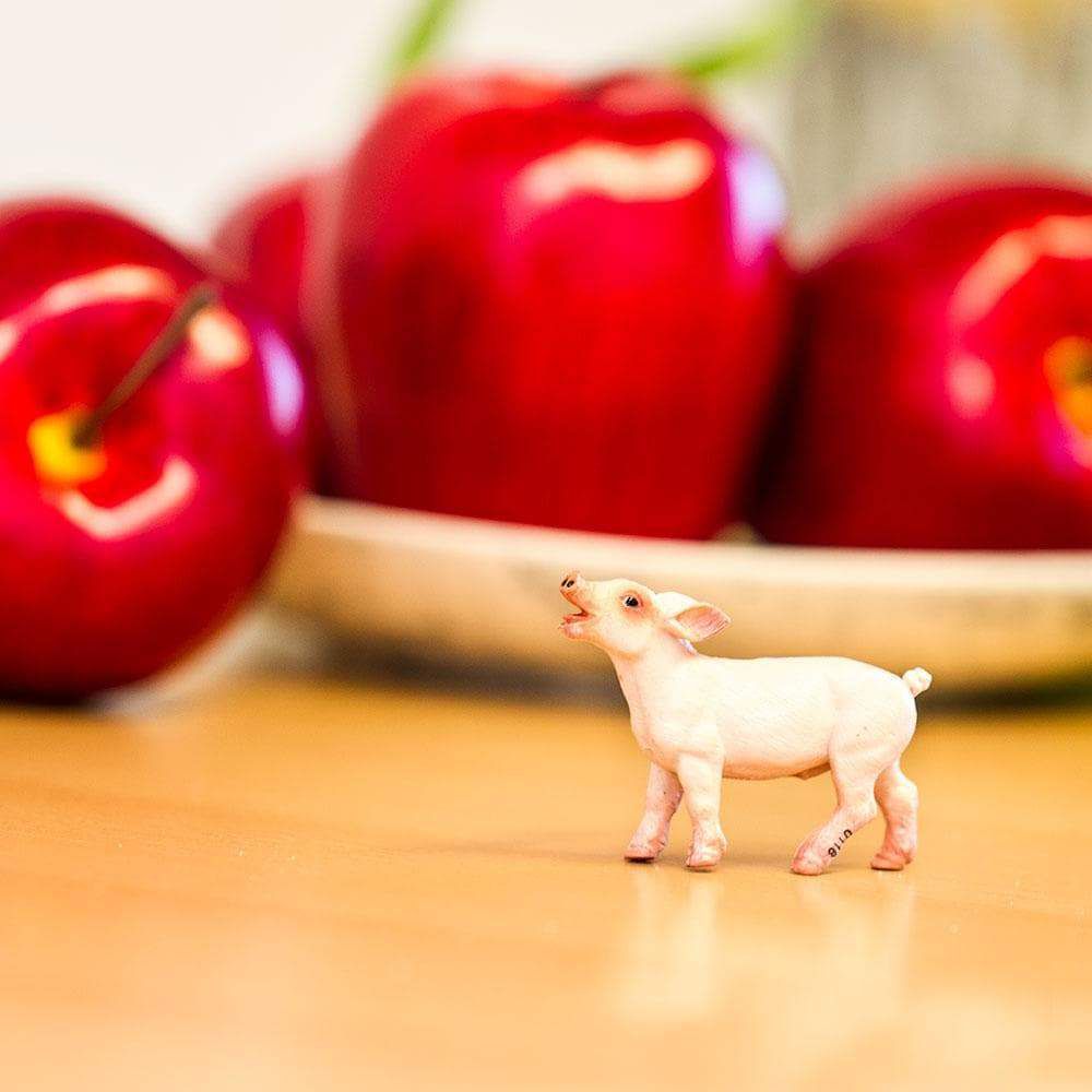 Figura Leitão Safari Ltd.