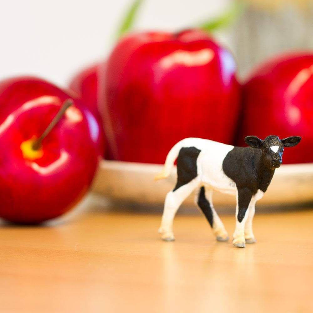 Figura Bezerro Holandês Safari Ltd.