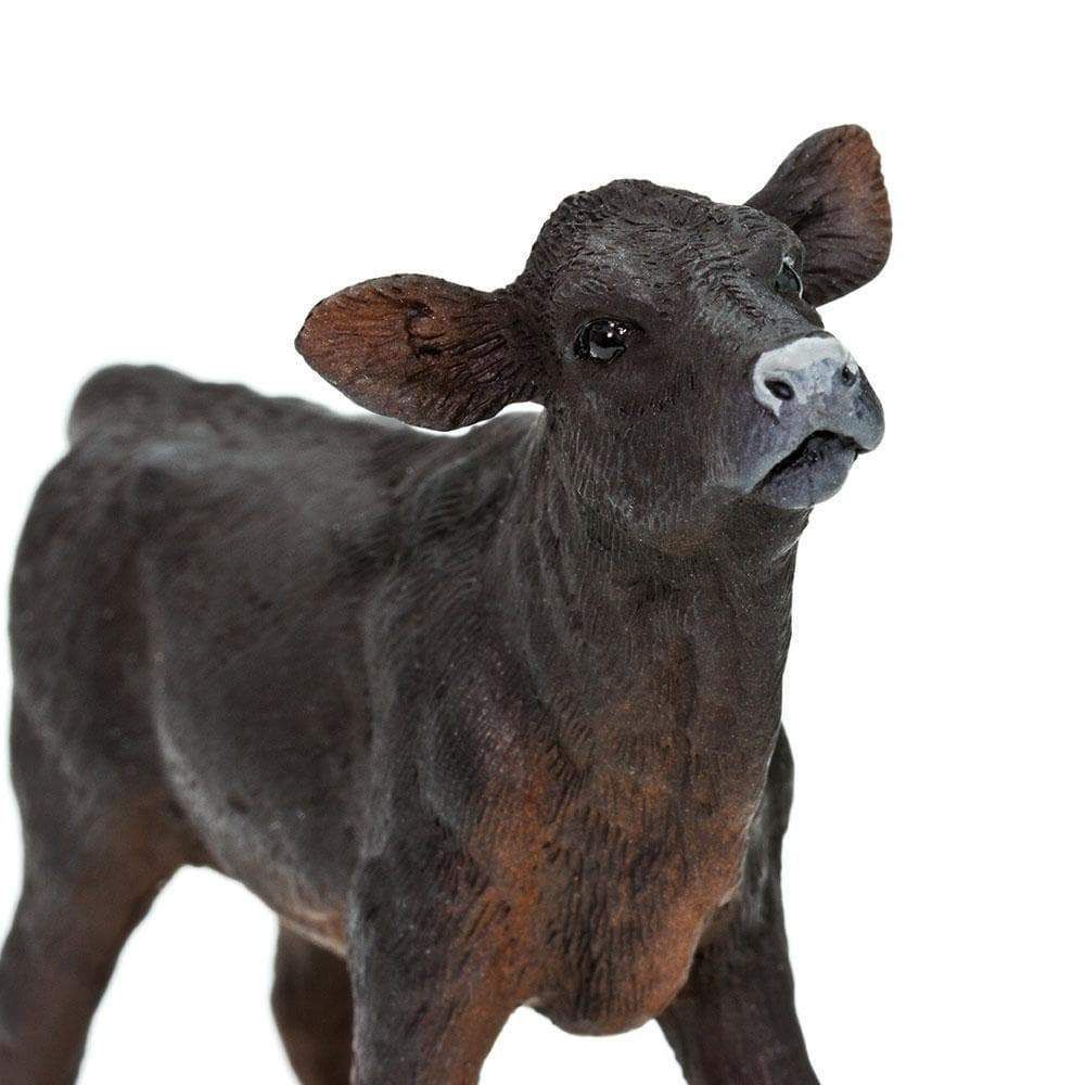 Figura Bezerro Angus Safari Ltd.