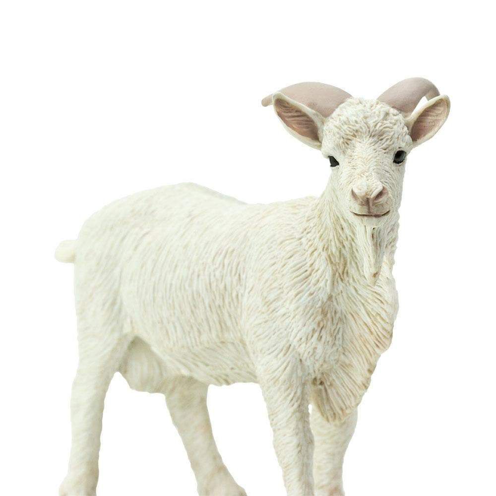 Figura Bode Safari Ltd.