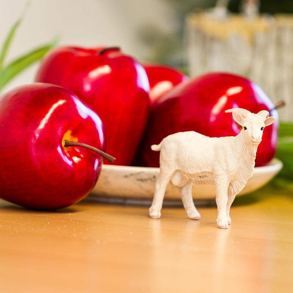 Figura Bode Safari Ltd.