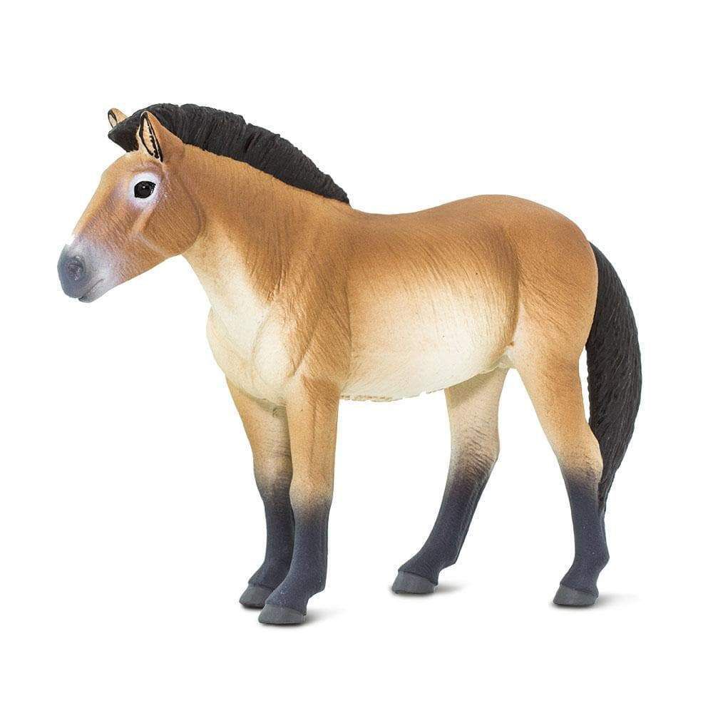 Figura Cavalo Przewalskis Safari Ltd.