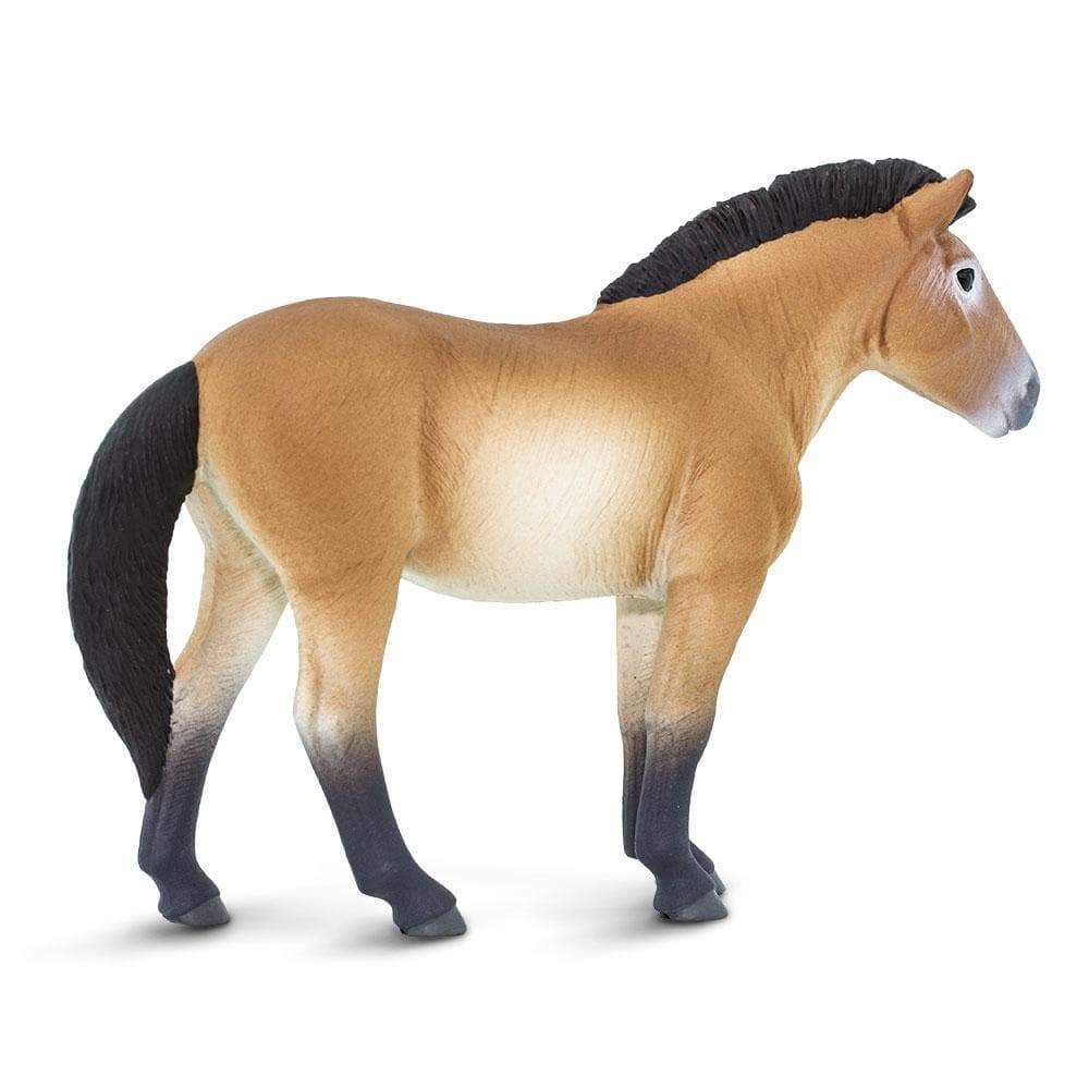 Figura Cavalo Przewalskis Safari Ltd.