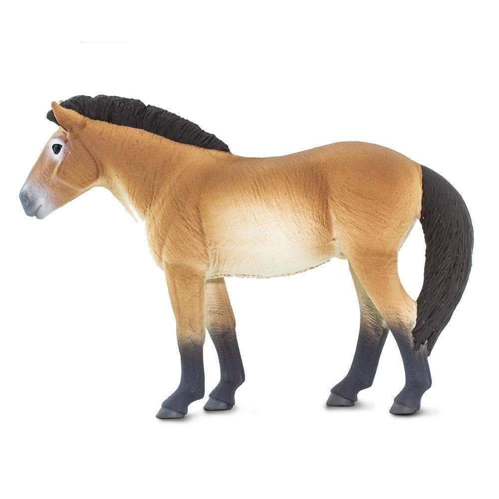 Figura Cavalo Przewalskis Safari Ltd.