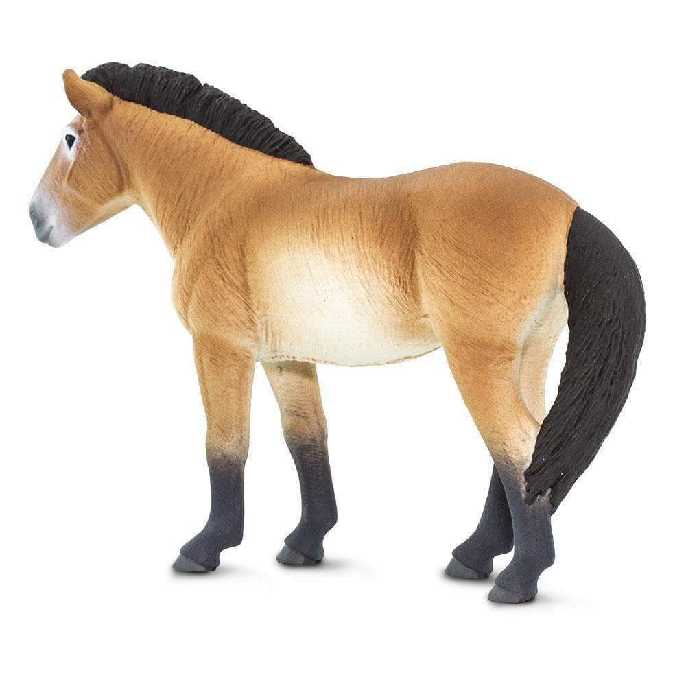 Figura Cavalo Przewalskis Safari Ltd.