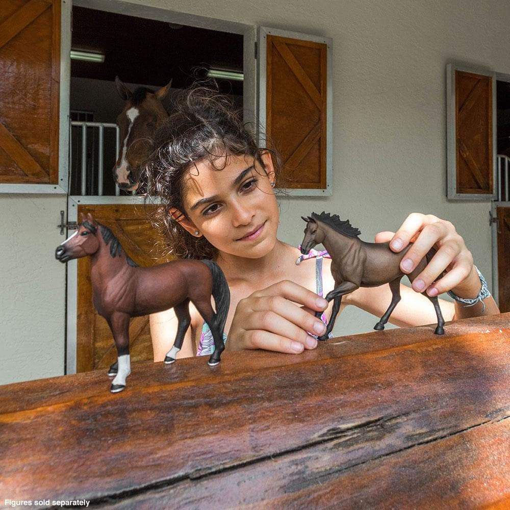 Figura Cavalo Morgan Stallion Safari Ltd.