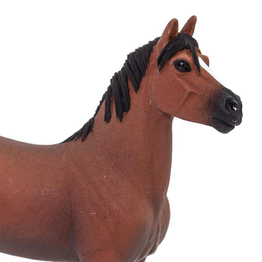 Figura Cavalo Morgan Stallion Safari Ltd.
