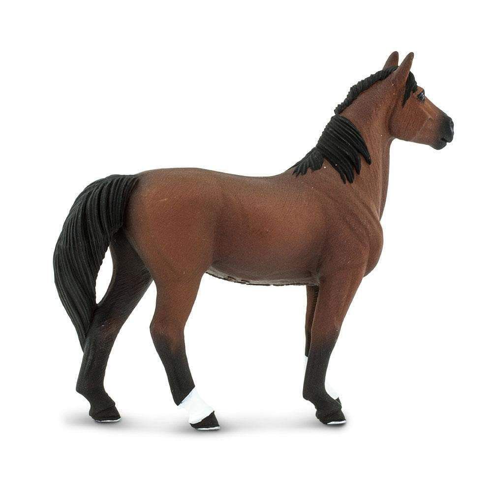 Figura Cavalo Morgan Stallion Safari Ltd.