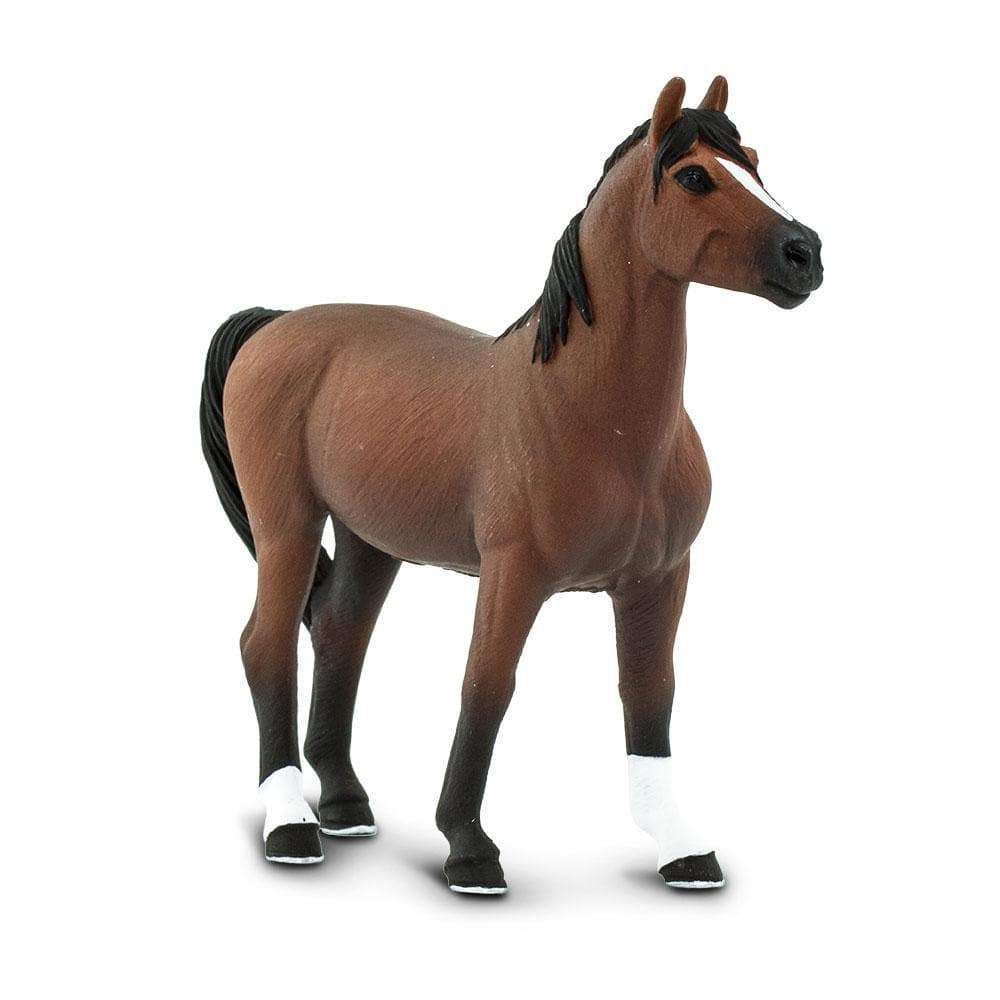 Figura Cavalo Morgan Stallion Safari Ltd.