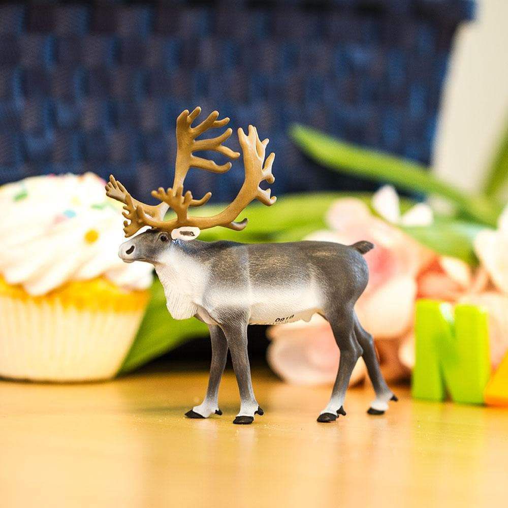 Figura Rena Safari Ltd.