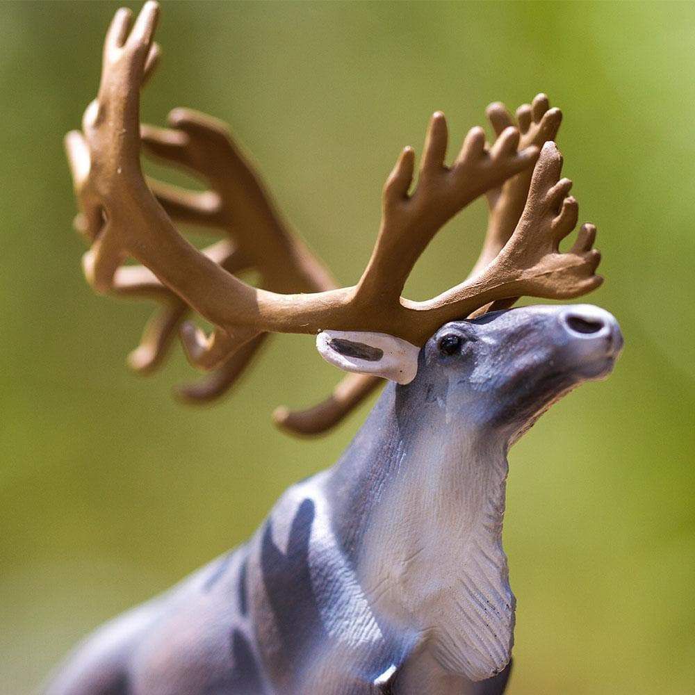 Figura Rena Safari Ltd.