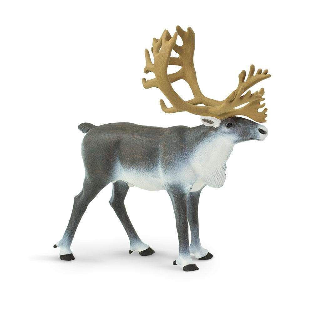 Figura Rena Safari Ltd.