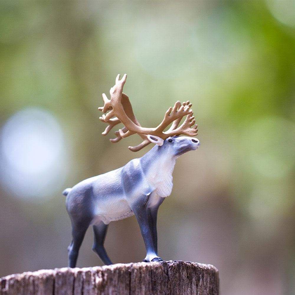 Figura Rena Safari Ltd.