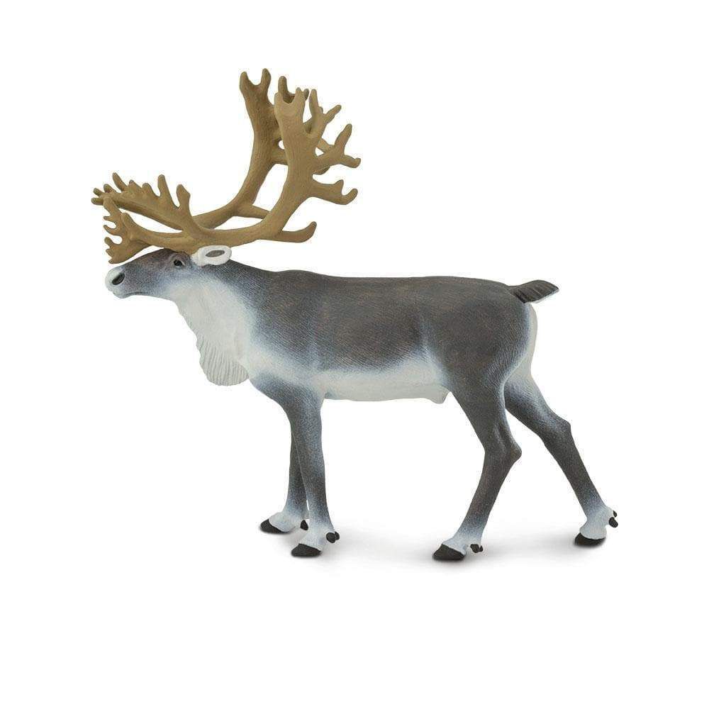 Figura Rena Safari Ltd.