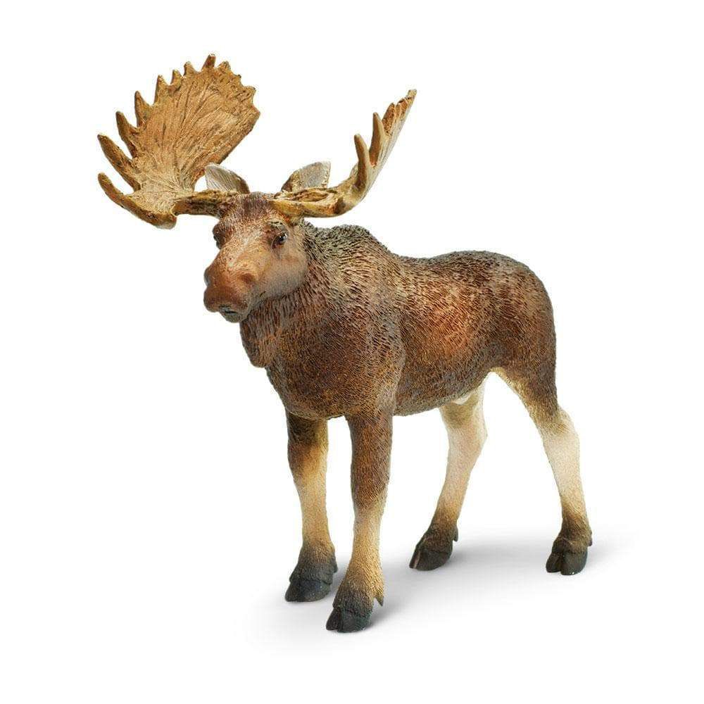 Figura Moose Búfalo Safari Ltd.
