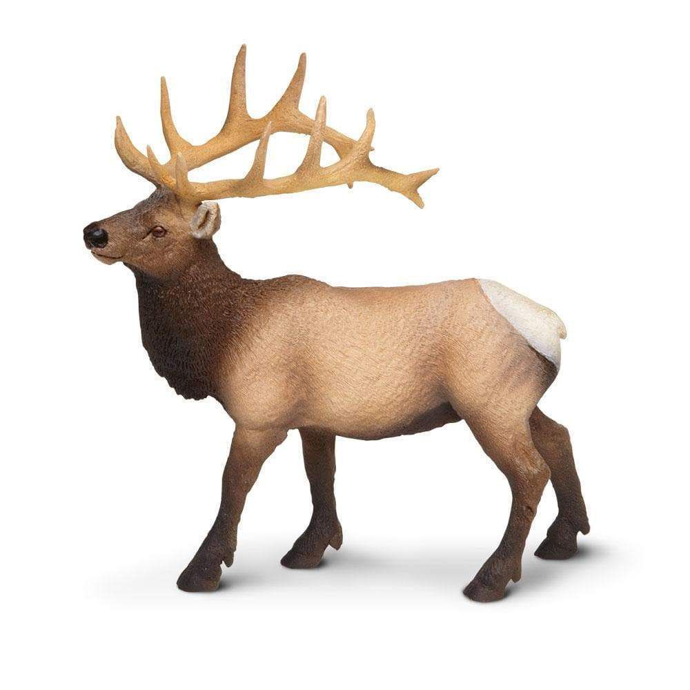 Figura Alce (Alce Touro) Safari Ltd.