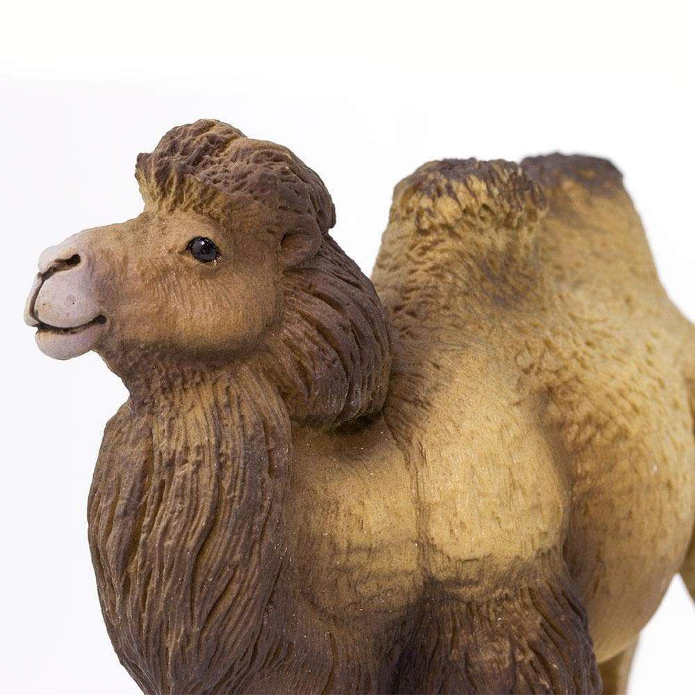 Figura Camelo Asiático Safari Ltd.