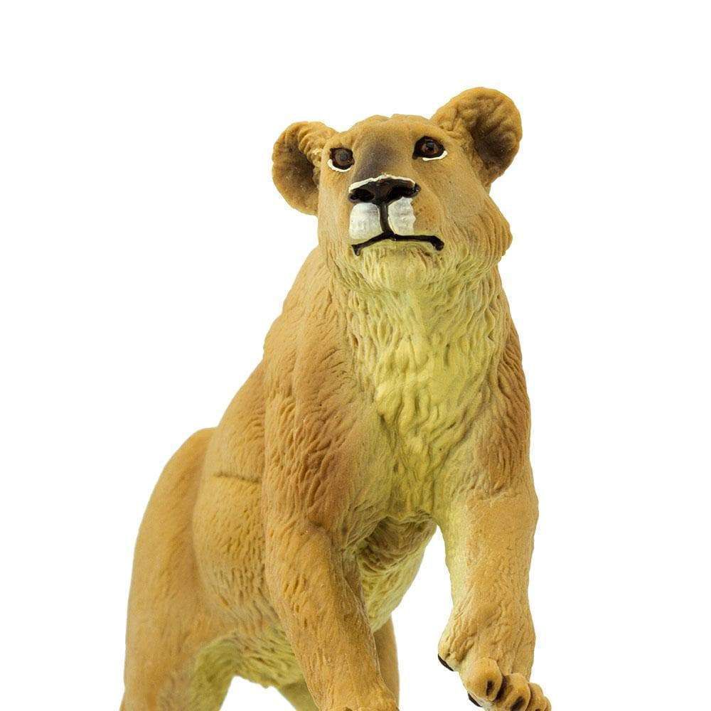 Figura Leoa Safari Ltd.