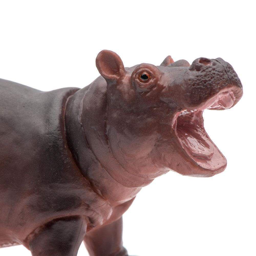 Figura Hipopótamo Filhote Safari Ltd.