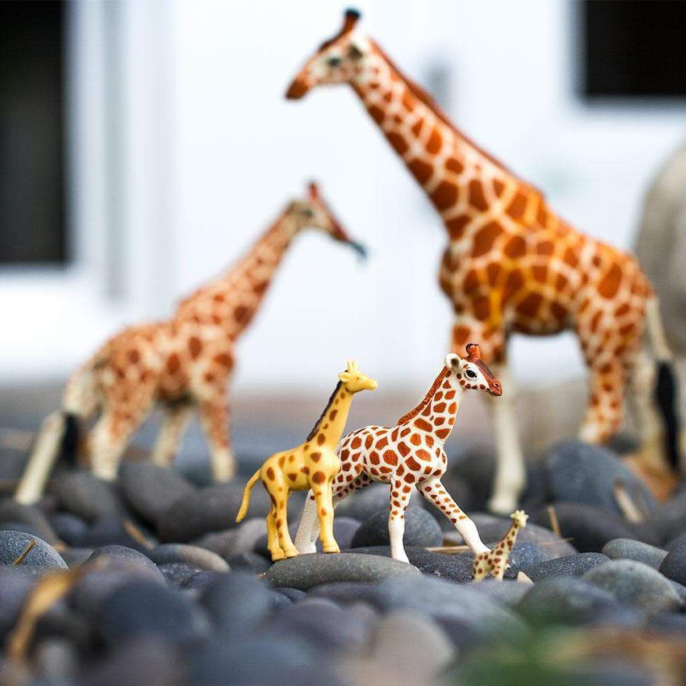 Figura Girafa Filhote Safari Ltd.
