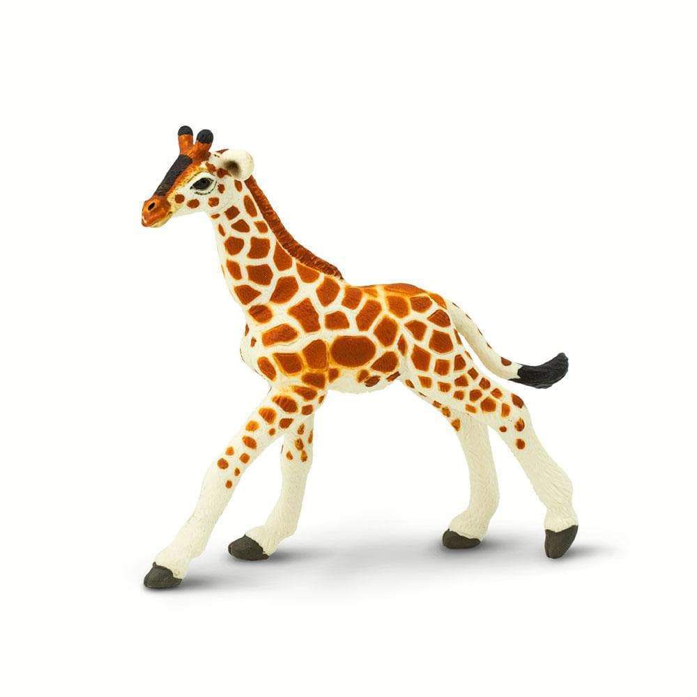 Figura Girafa Filhote Safari Ltd.
