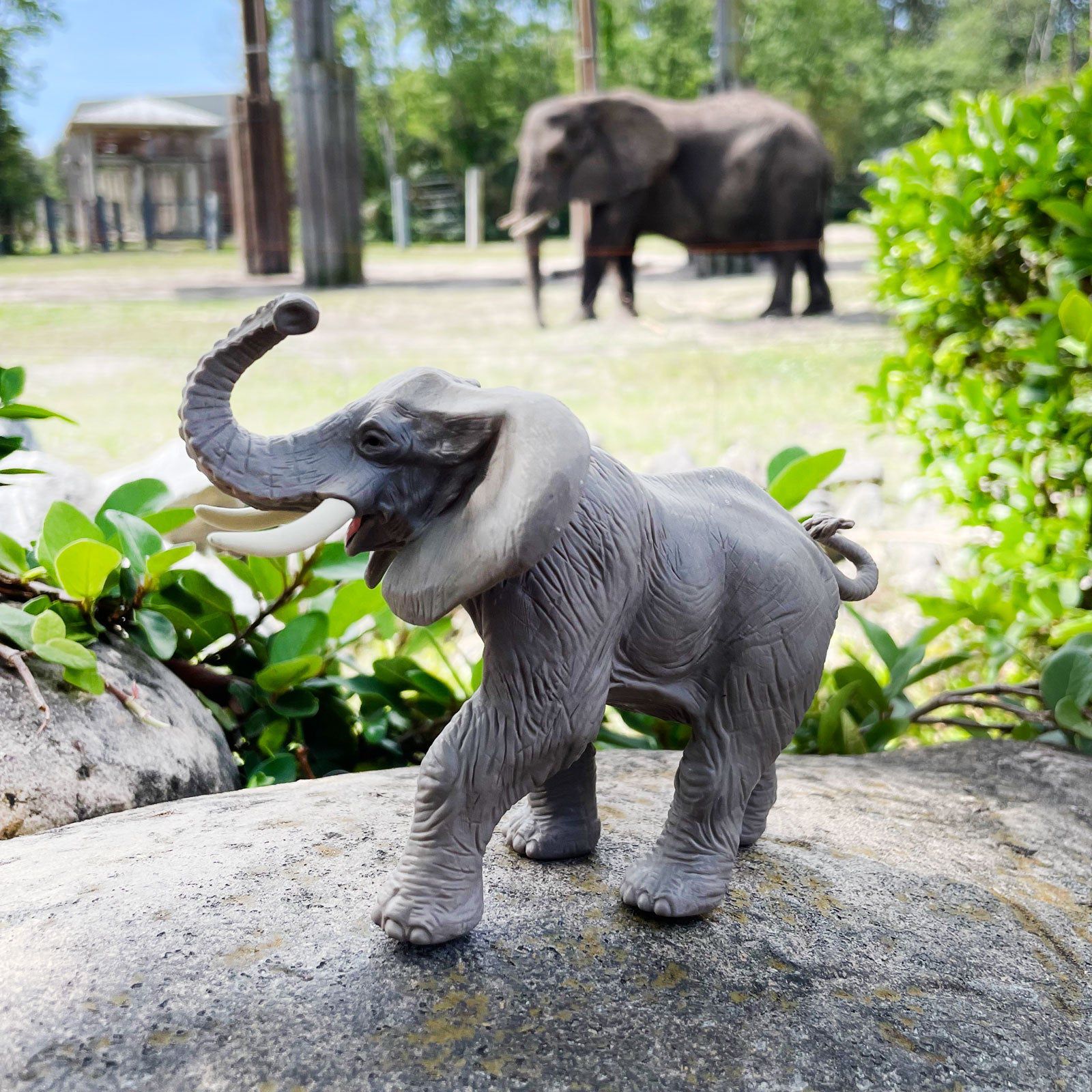 Figura Elefante Africano Safari Ltd.