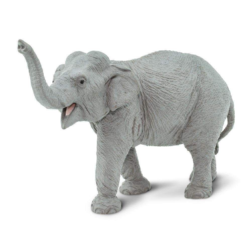 Figura Elefante Asiático Safari Ltd.