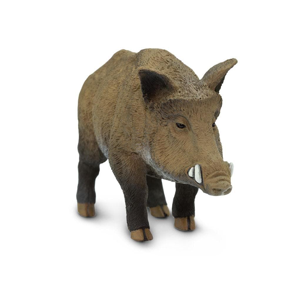 Figura Javali Safari Ltd.