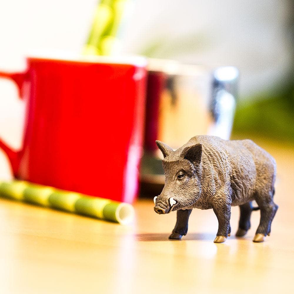 Figura Javali Safari Ltd.