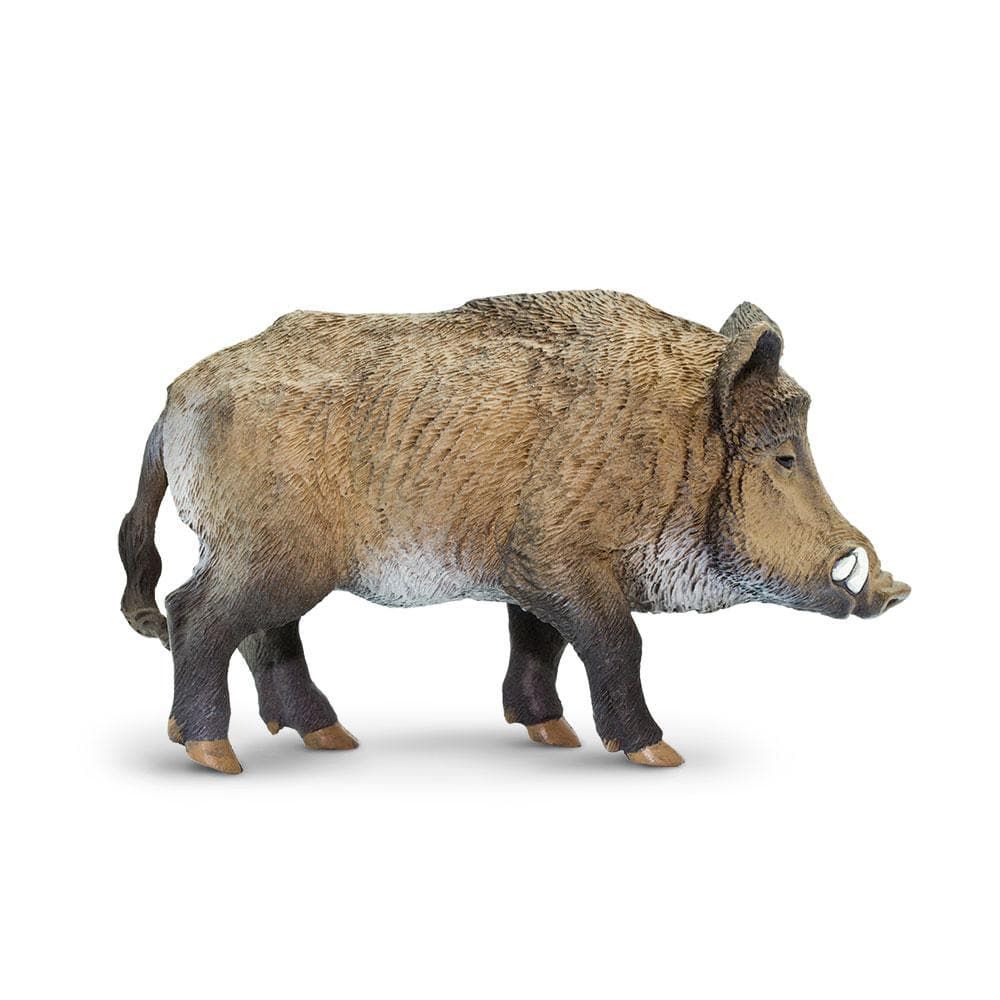 Figura Javali Safari Ltd.