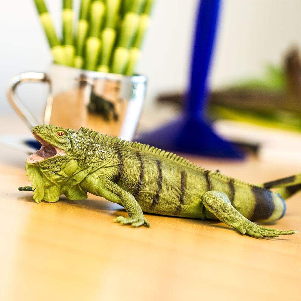 Figura Iguana Safari Ltd.