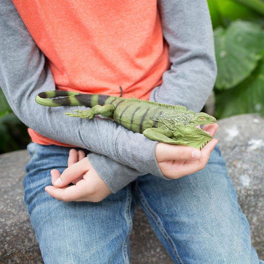 Figura Iguana Safari Ltd.