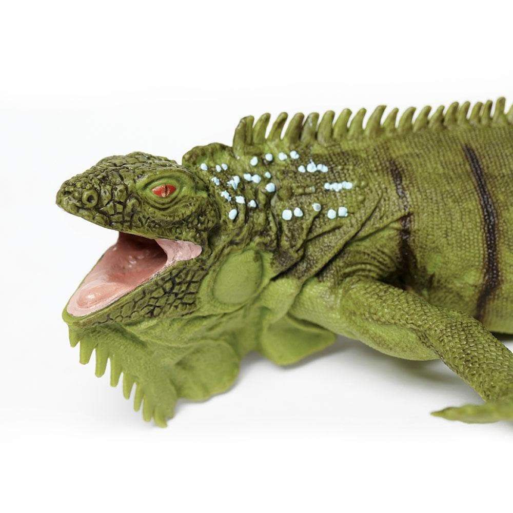 Figura Iguana Safari Ltd.