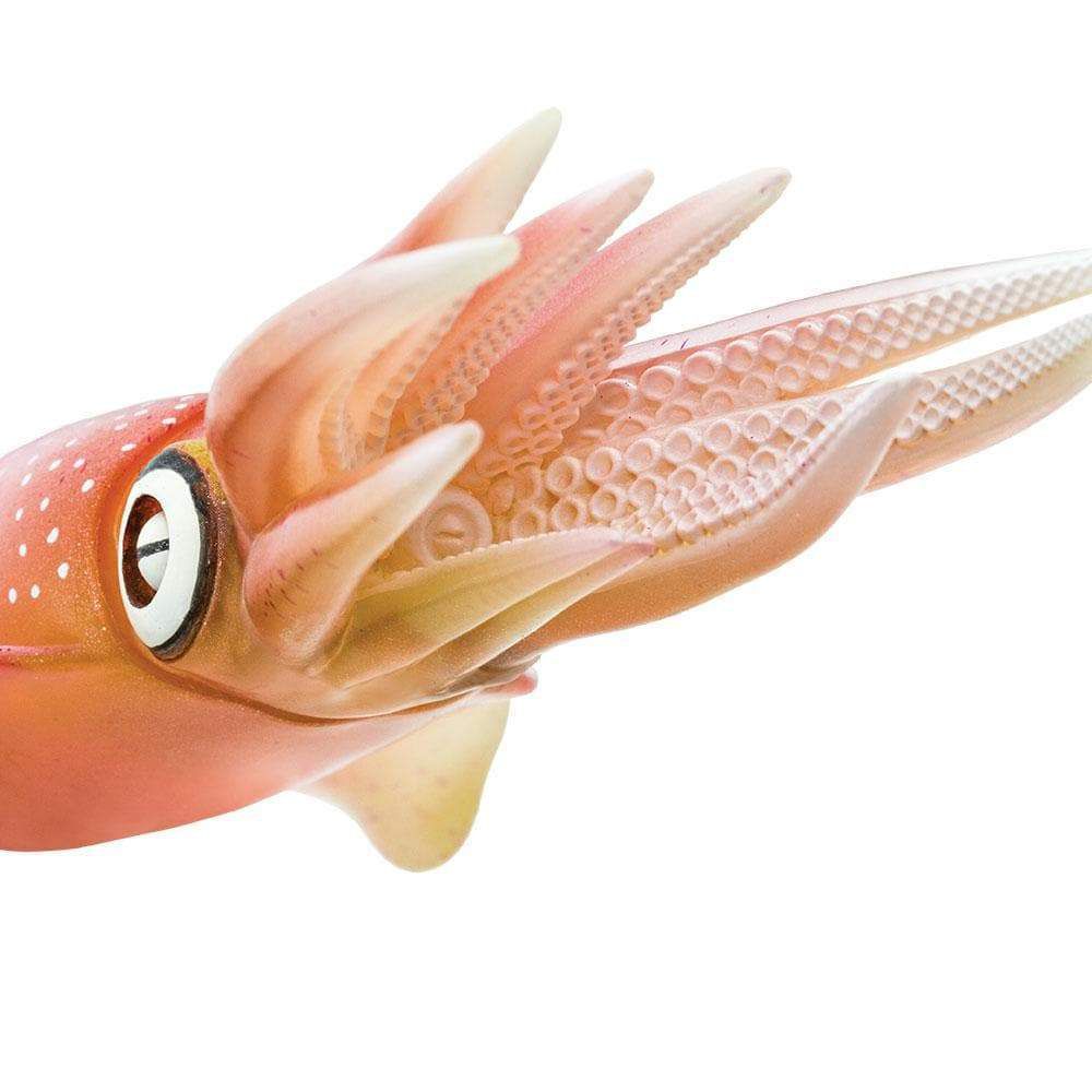 Figura Lula De Recifes Do Caribe (Reef Squid) Safari Ltd.